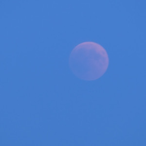 eclipse_01.jpeg