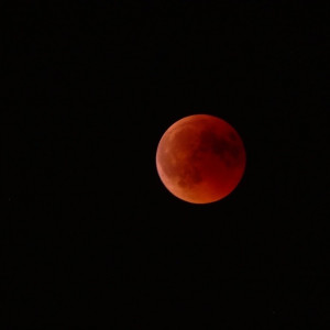 eclipse_02.jpeg