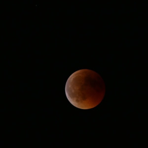 eclipse_04.jpeg