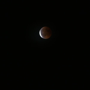 eclipse_06.jpeg