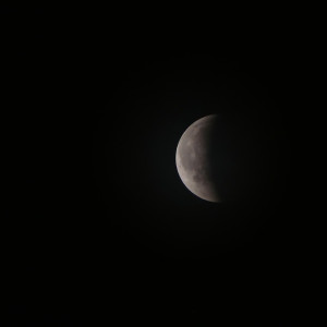 eclipse_08.jpeg