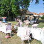 db_p1100484.jpg